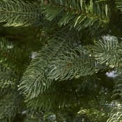 Laugh Neagh Pine Christmas Tree