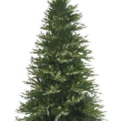 Balmoral Fir Christmas Tree 6ft