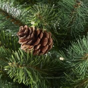 Hazlenut Potted Pine Christmas Tree with Cones