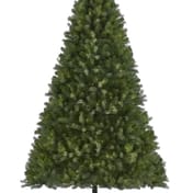 Laugh Neagh Pine Christmas Tree 7ft