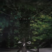 Lapland Pine Christmas Tree
