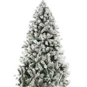 Iceland Fir Christmas Tree