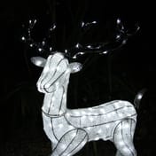 1.2m Light Up Christmas Reindeer