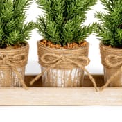 Set of 3 Small Rustic Potted Christmas Trees