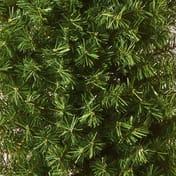 Cresant Moon Artificial Christmas Tree 1.5m