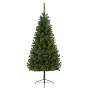 Lakeland Fir Christmas Tree