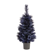 Midnight Frost Potted Fir Christmas Tree