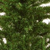Twin Welcoming Christmas Trees in Pots