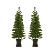 Twin Welcoming Christmas Trees