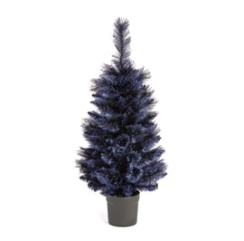 Midnight Frost Potted Fir Christmas Tree