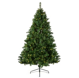 Toyland Pine Pre Lit Christmas Tree 7ft