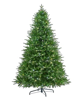 Florence Fir Pre Lit Christmas Tree 6ft
