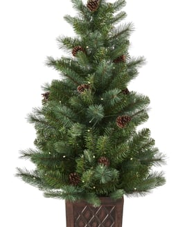 Hazlenut Potted Pine Christmas Tree 4ft