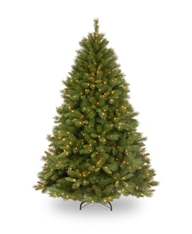 Colorado Pine Christmas Tree