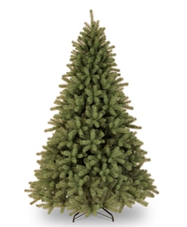 Midwinter Spruce Christmas Tree 5.5ft