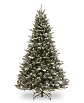 Snow Dusted Spruce Christmas Tree