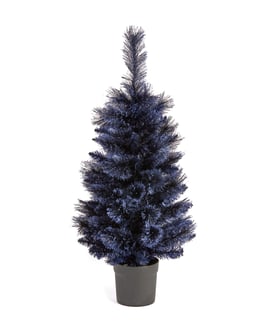 Midnight Frost Potted Fir Christmas Tree