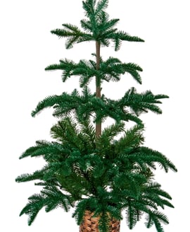 Natural Potted Artificial Christmas Tree 3ft