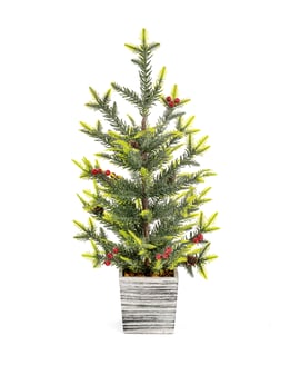 Potted 2ft Desk Top Christmas Tree with Berries