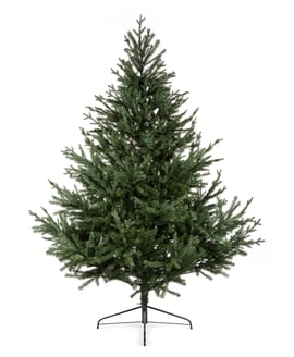 Windermere Spruce Realistic Christmas Tree 8ft