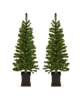 Twin Potted Welcoming Christmas Trees 4ft