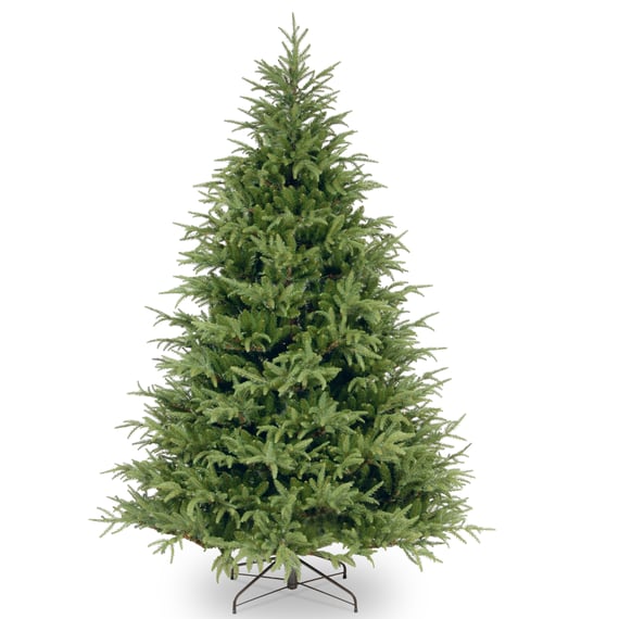 Grand Norse Fir Christmas Trees 5ft
