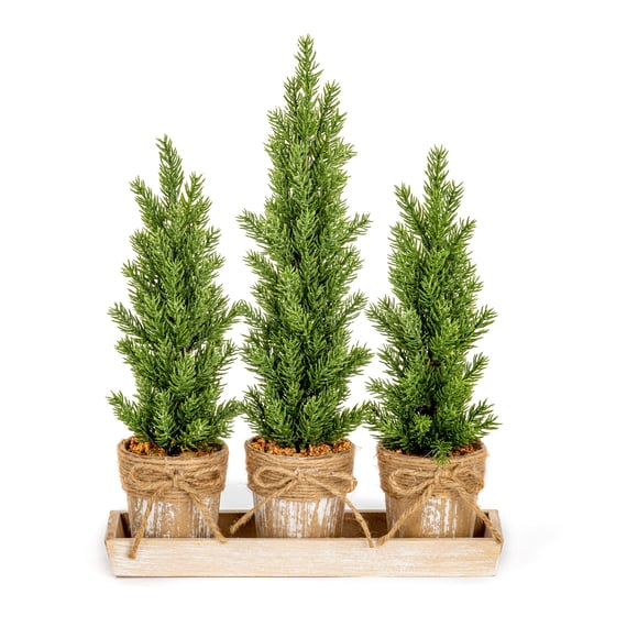 Set of 3 Small Potted Christmas Trees