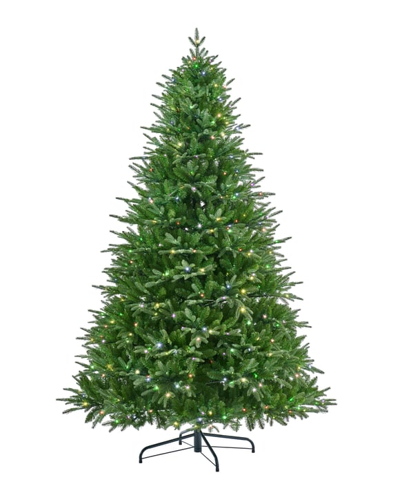 Florence Fir Pre Lit Christmas Tree 6ft