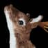 Plush Comet the Reindeer Christmas Decoration