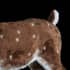 Plush Comet the Reindeer Christmas Decoration