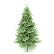 Northern Lights Blue Spruce Christmas Tree 8ft