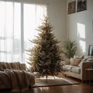 Danish Pine Christmas Tree 6ft 