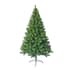 Lakeland Fir Christmas Tree