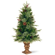 Balmoral Fir Potted Christmas Tree 4ft