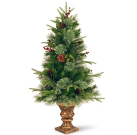 Balmoral Fir Potted Christmas Tree 4ft