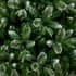 Frosty Fir Realistic Artificial Christmas Tree
